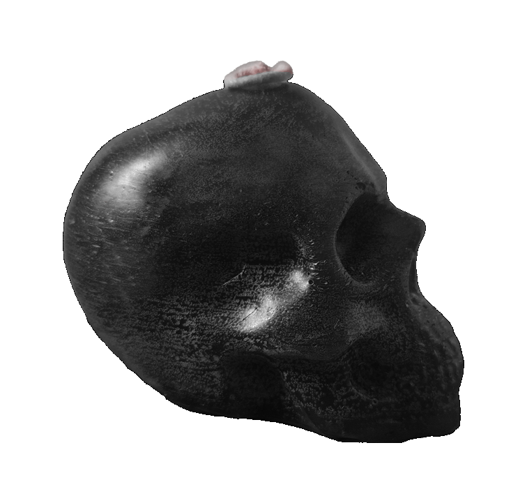 Vela de figura - Cráneo Negro