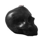 Vela de figura - Cráneo Negro