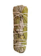 Sahumerio - Salvia Blanca con Eucalipto Dólar