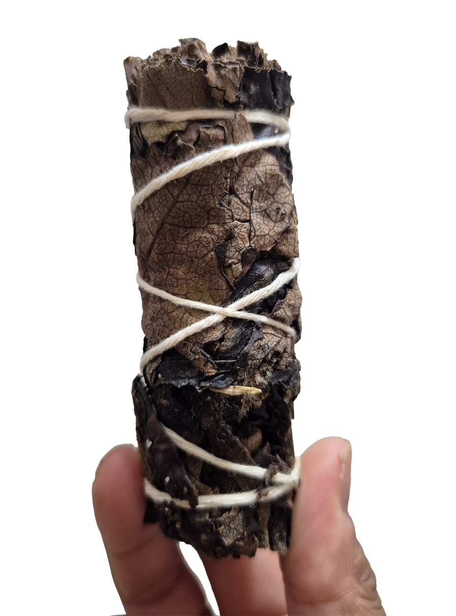 Sahumerio - Hierba Santa Negra