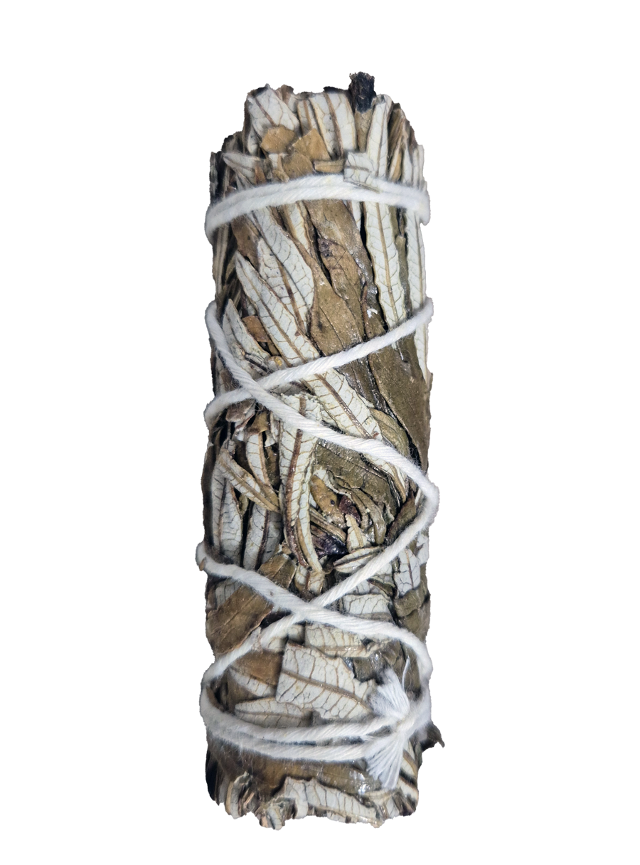 Sahumerio - Hierba Santa Blanca