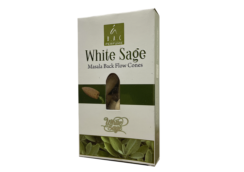 Caja Cono de reflujo - Salvia Blanca